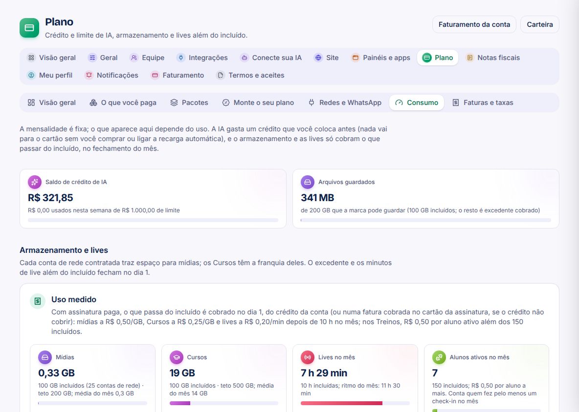 Uso da IA no mês